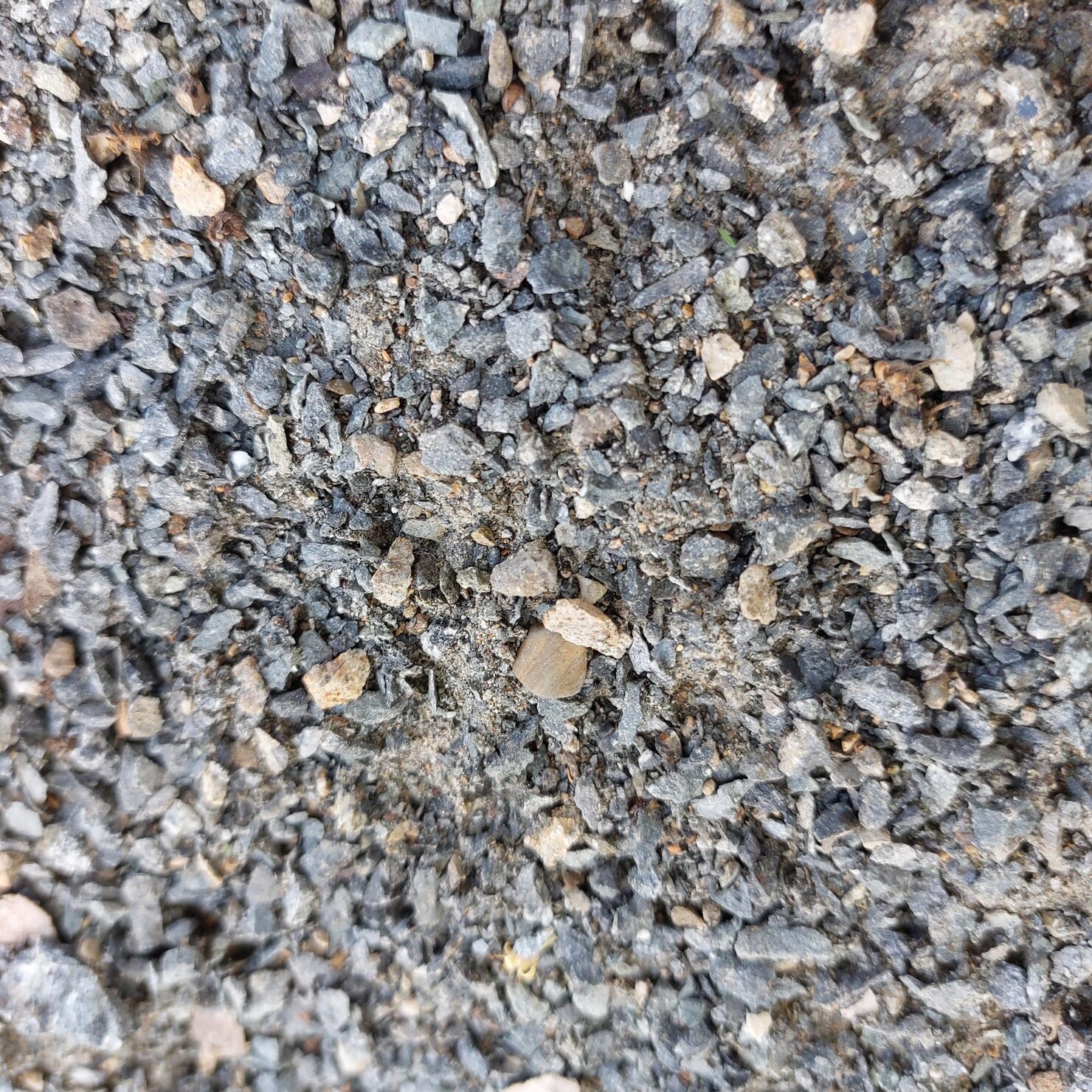 Imagen Retirada de escombros